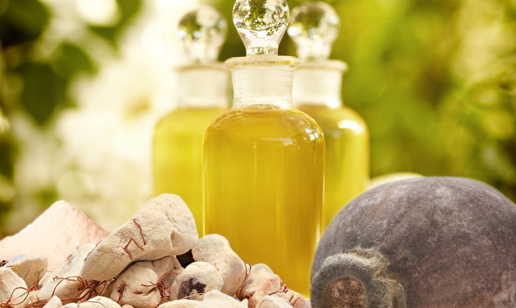 Múltiples propiedades nutricionales y cosméticas